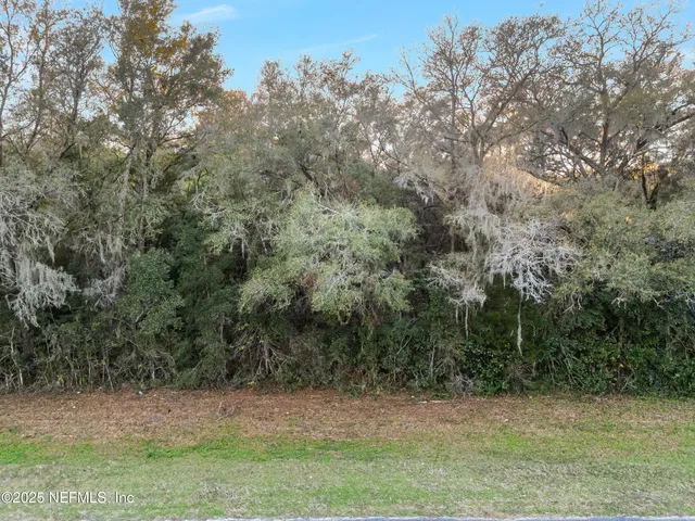 $20,000 | 0 North US Highway 441, Citra, FL 32113