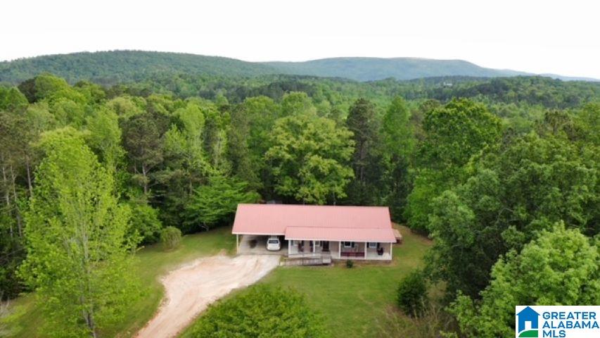 7307 County Road 31 Lineville, AL 36266 - Photo 1 of 30