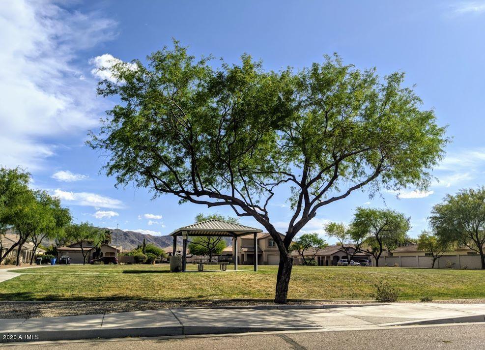 2534 West Maldonado Road Phoenix, AZ 85041 - Photo 5 of 18 August Sun Country Estates Community