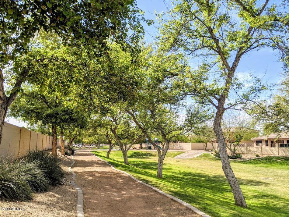 2534 West Maldonado Road Phoenix, AZ 85041 - Photo 6 of 18 August Sun Country Estates Greenbelt