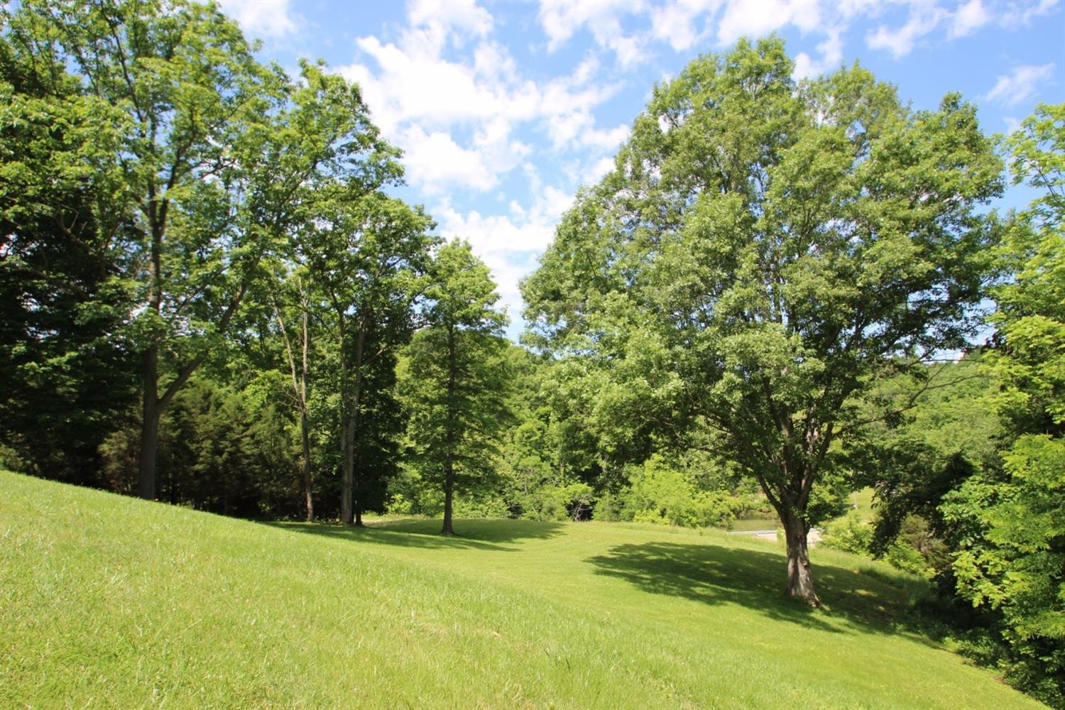 1616 Davis Road Sadieville, KY 40370 - Photo 14 of 39 Photo 14