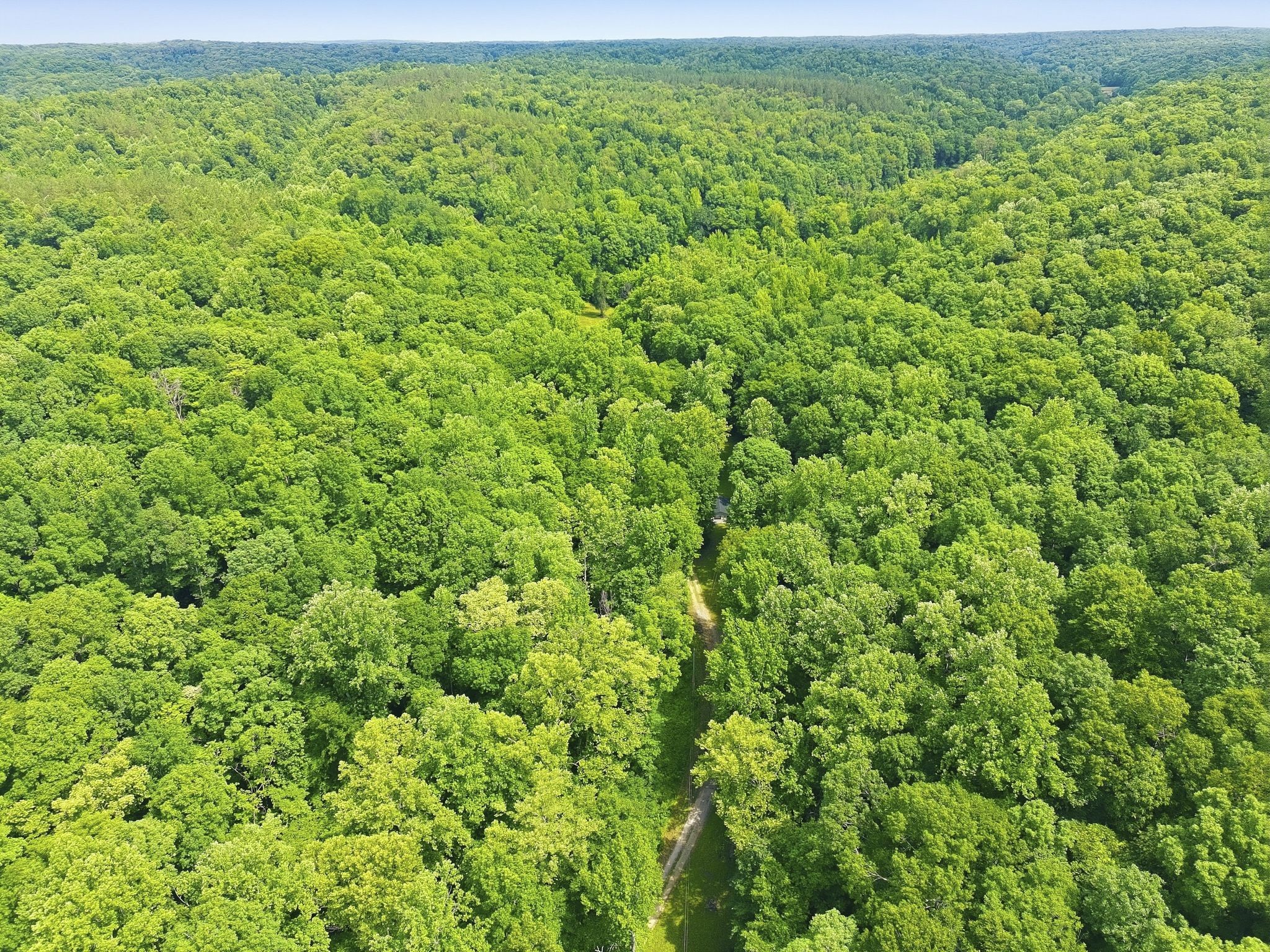 565 Clint Flowers Road McEwen, TN 37101 - Photo 50 of 51