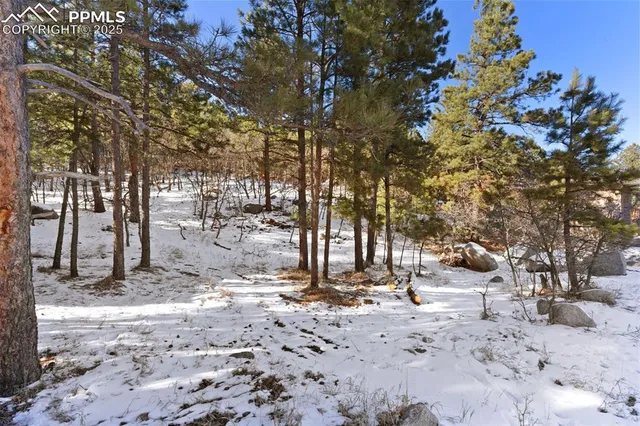 a row of trees with wooden fence