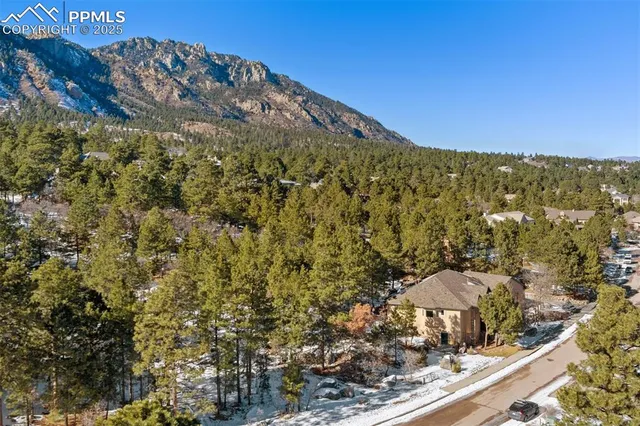 a backyard of a house with large trees
