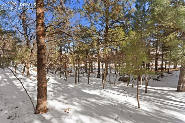 a view of road with a houses