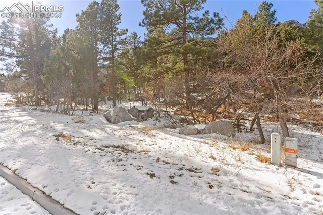a street view covered with snow