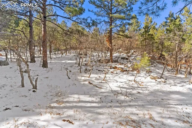 a view of snow on the side of the road
