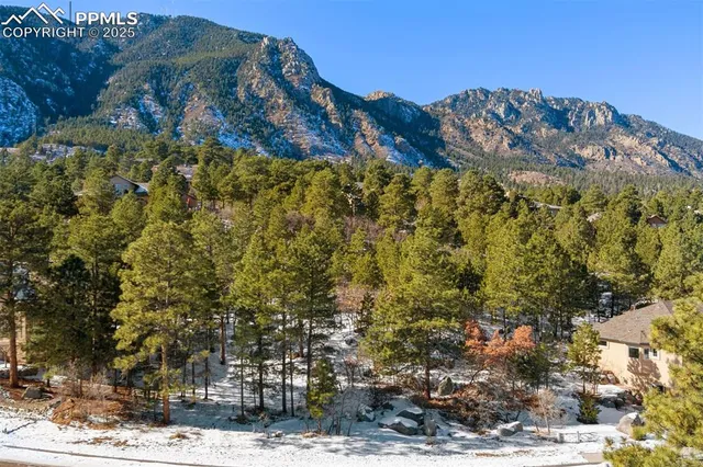 a view of outdoor space with lots of trees