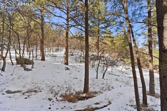 a view of road with trees