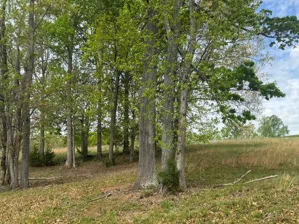 $55,000 | Lot 28 Farm Drive, Moneta, VA 24121