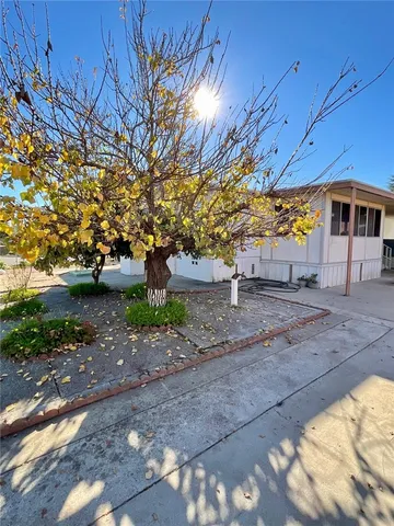 a view of a backyard with potted plants