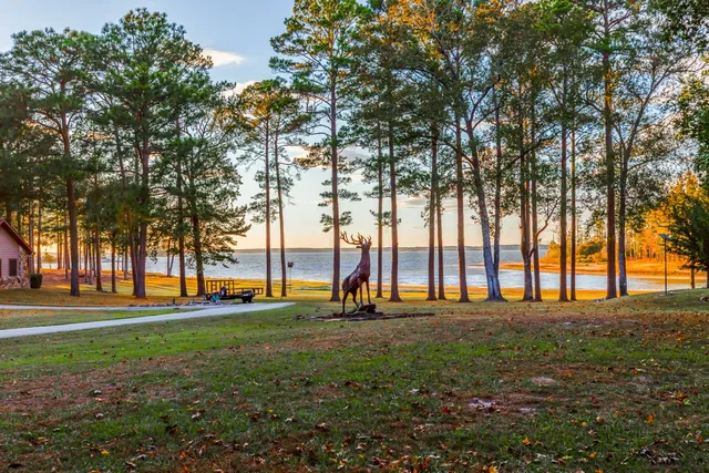 a view of park space