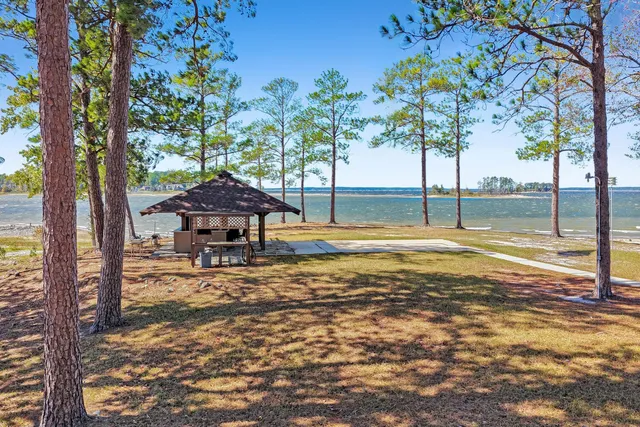 a view of a large trees with swimming pool