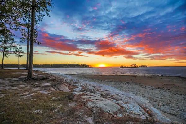 a view of a yard with an ocean