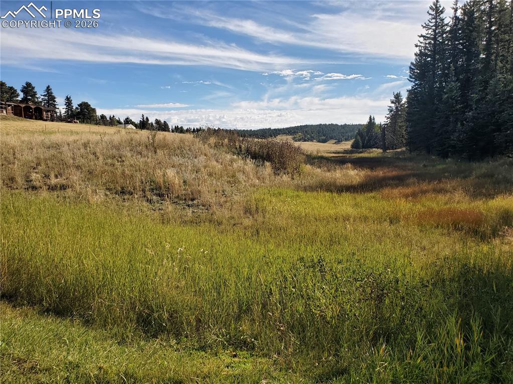 309 Pinaceae Heights Divide, CO 80814 - Photo 11 of 21 a view of an ocean with beach