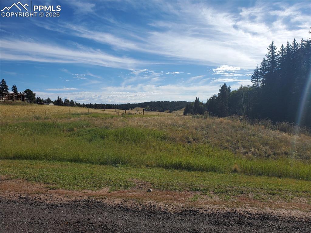 309 Pinaceae Heights Divide, CO 80814 - Photo 2 of 21 a view of a lake with a big yard
