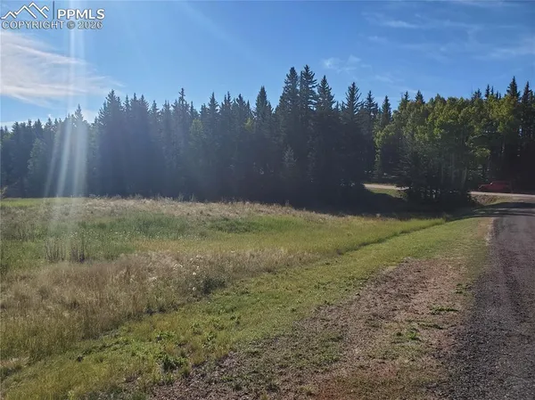 a view of outdoor space with trees all around