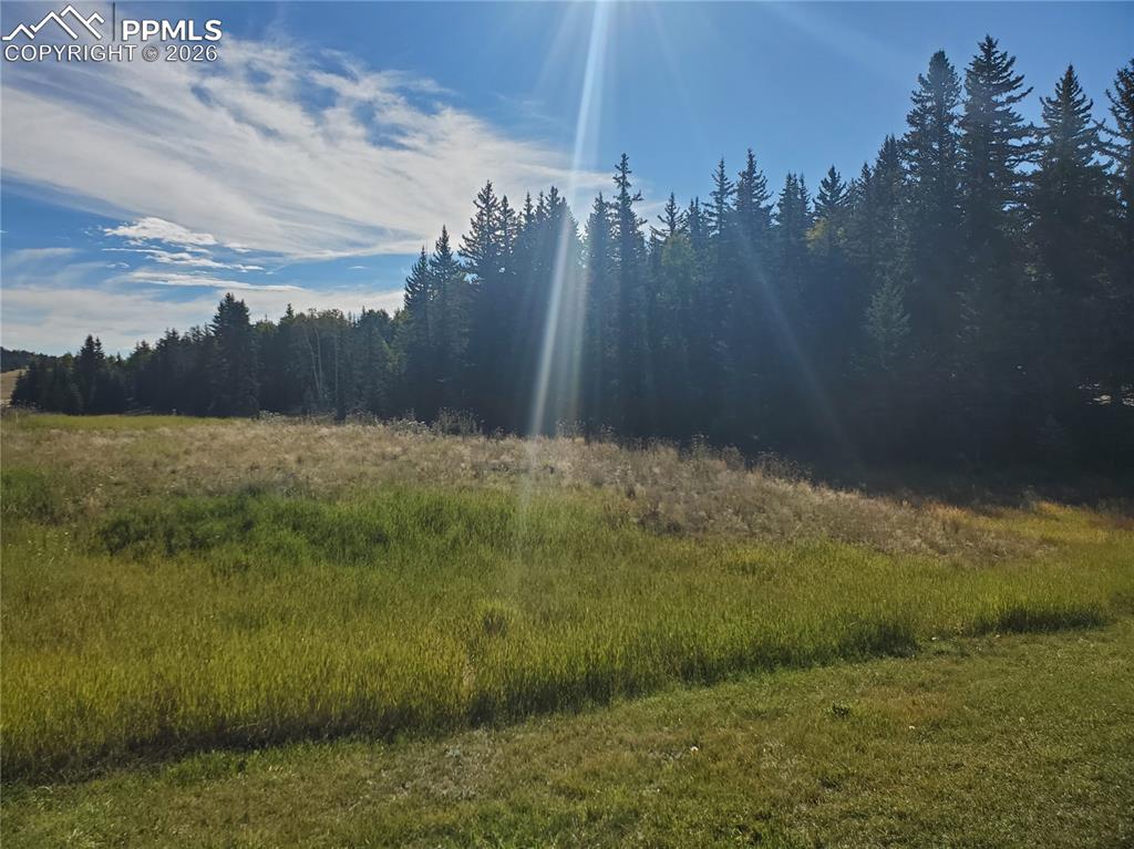 309 Pinaceae Heights Divide, CO 80814 - Photo 5 of 21 a view of lake with green space