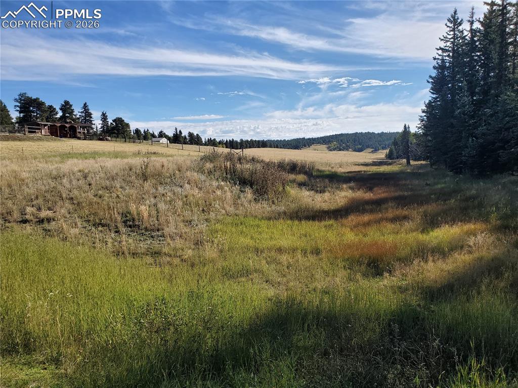 309 Pinaceae Heights Divide, CO 80814 - Photo 9 of 21