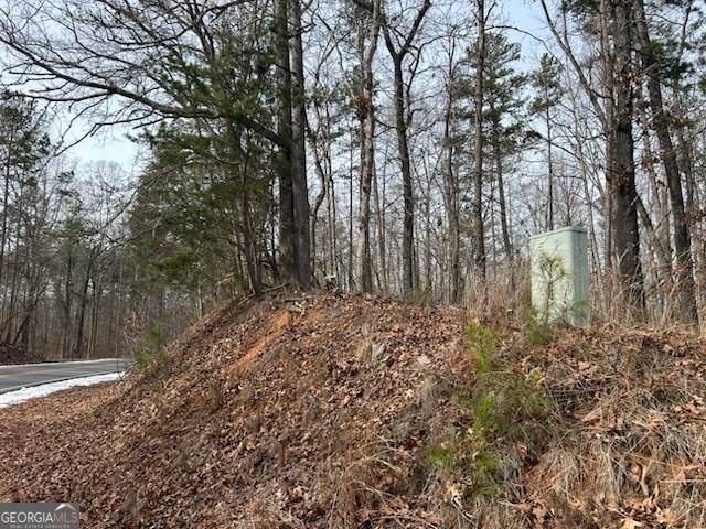 0 Holly Springs Road, Unit TRACT 2 Toccoa, GA 30577 - Photo 2 of 10