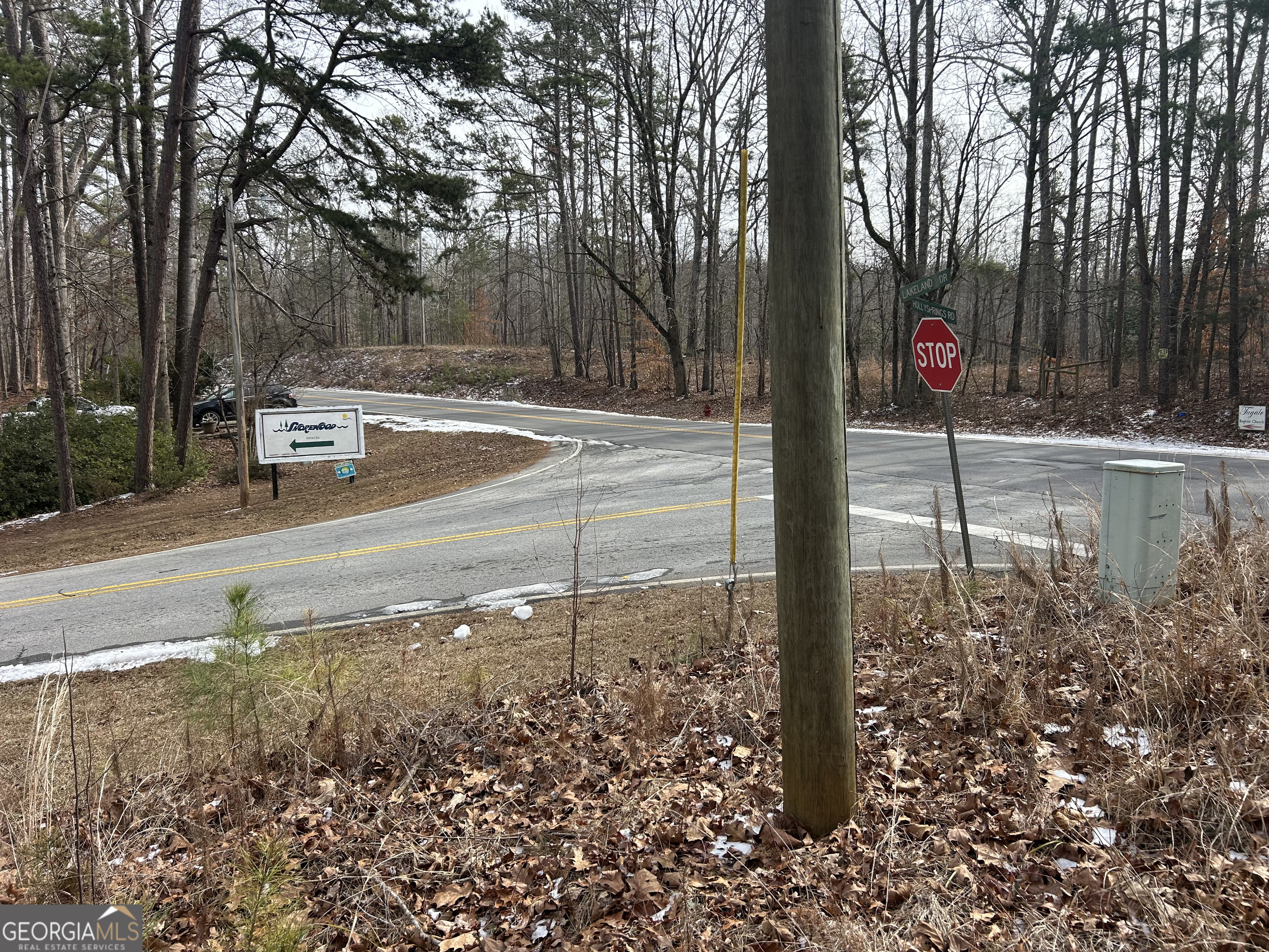 0 Holly Springs Road, Unit TRACT 2 Toccoa, GA 30577 - Photo 5 of 10