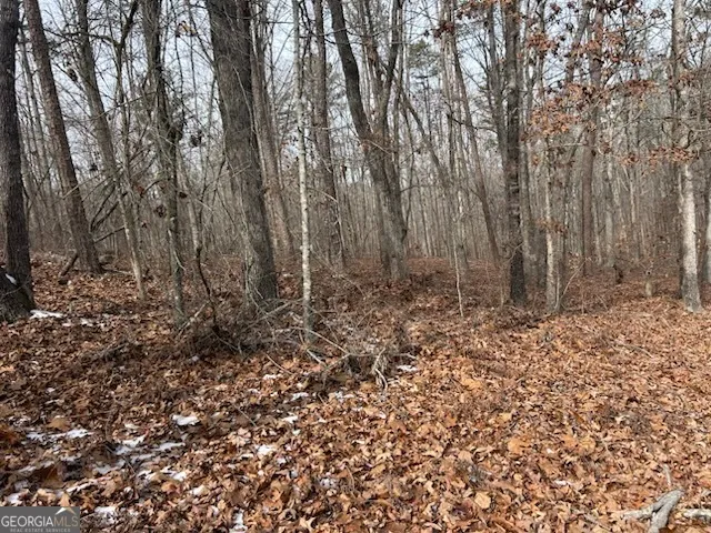 a view of backyard with tree