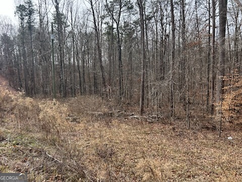 0 Holly Springs Road, Unit TRACT 2 Toccoa, GA 30577 - Photo 10 of 10