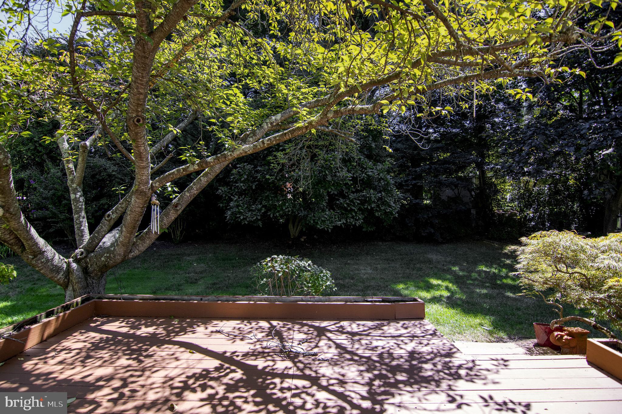 6237 Wilmette Drive Burke, VA 22015 - Photo 39 of 42 Deck view