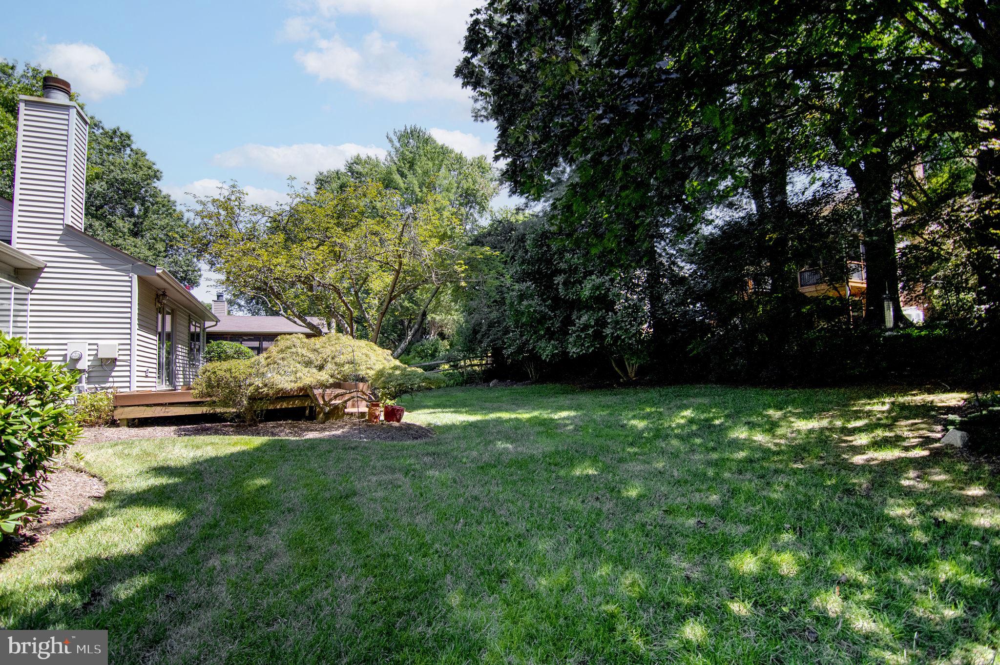 6237 Wilmette Drive Burke, VA 22015 - Photo 40 of 42 Back Yard