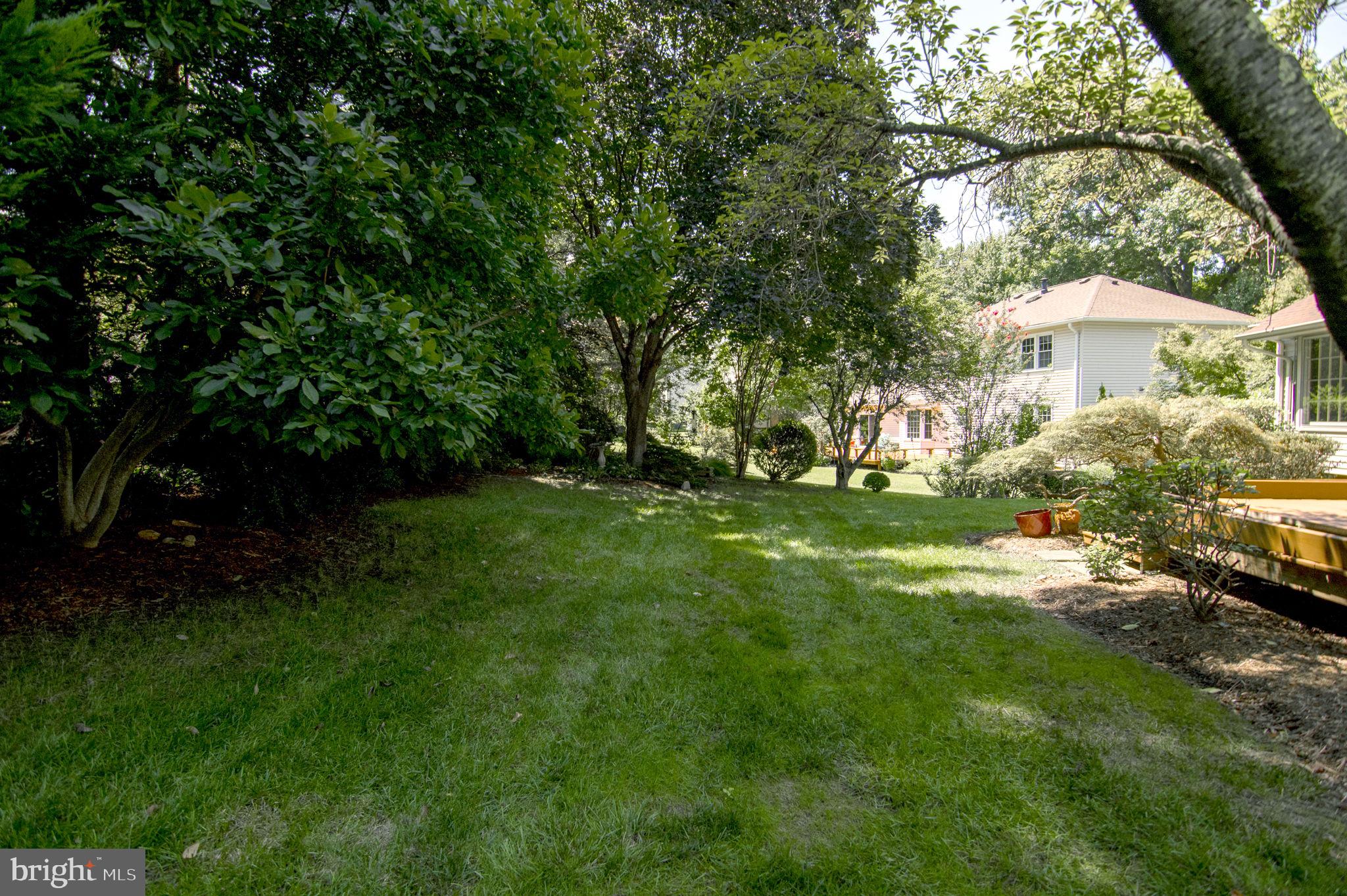 6237 Wilmette Drive Burke, VA 22015 - Photo 41 of 42 Back Yard
