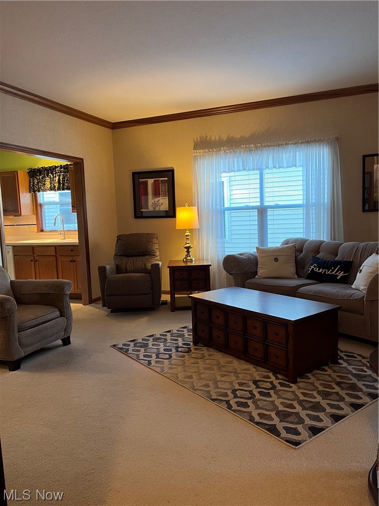 335 Village Drive Seven Hills, OH 44131 - Photo 6 of 14 Living room