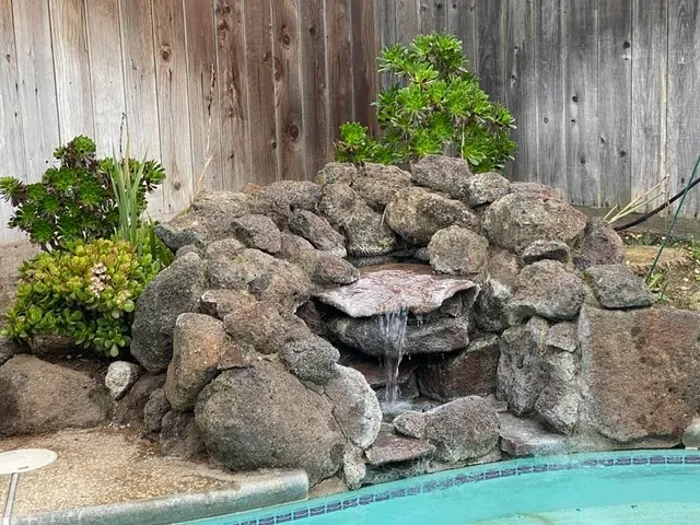 a view of a backyard with plants