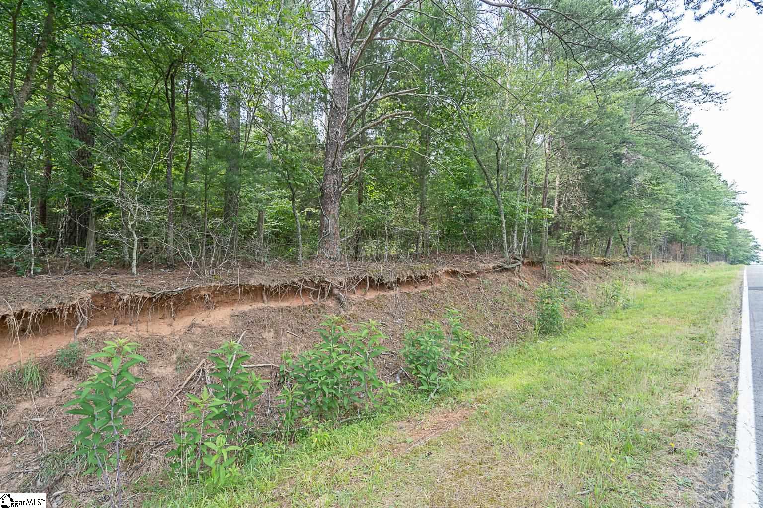 Pinedale Road Liberty, SC 29657 - Photo 2 of 15