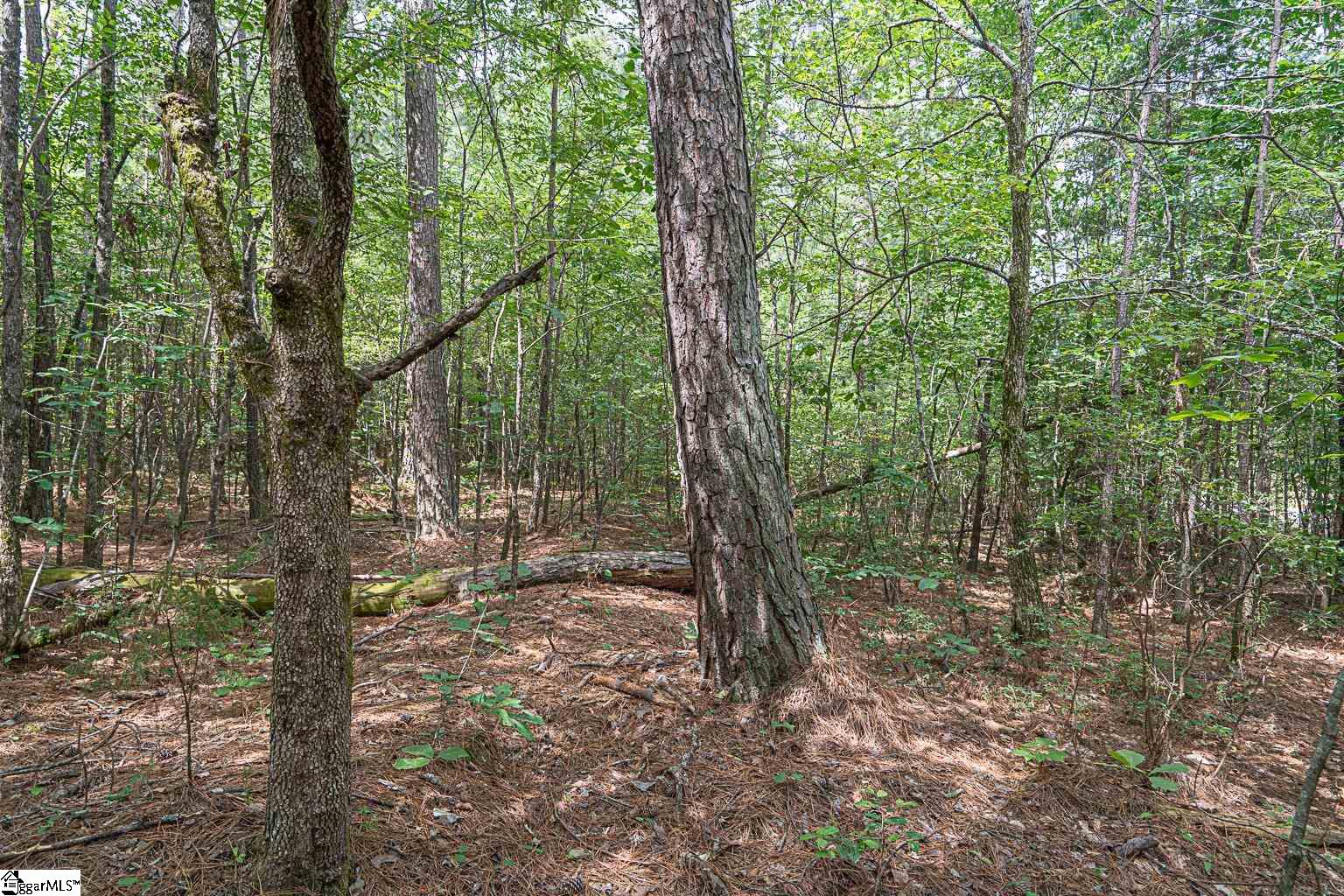Pinedale Road Liberty, SC 29657 - Photo 11 of 15