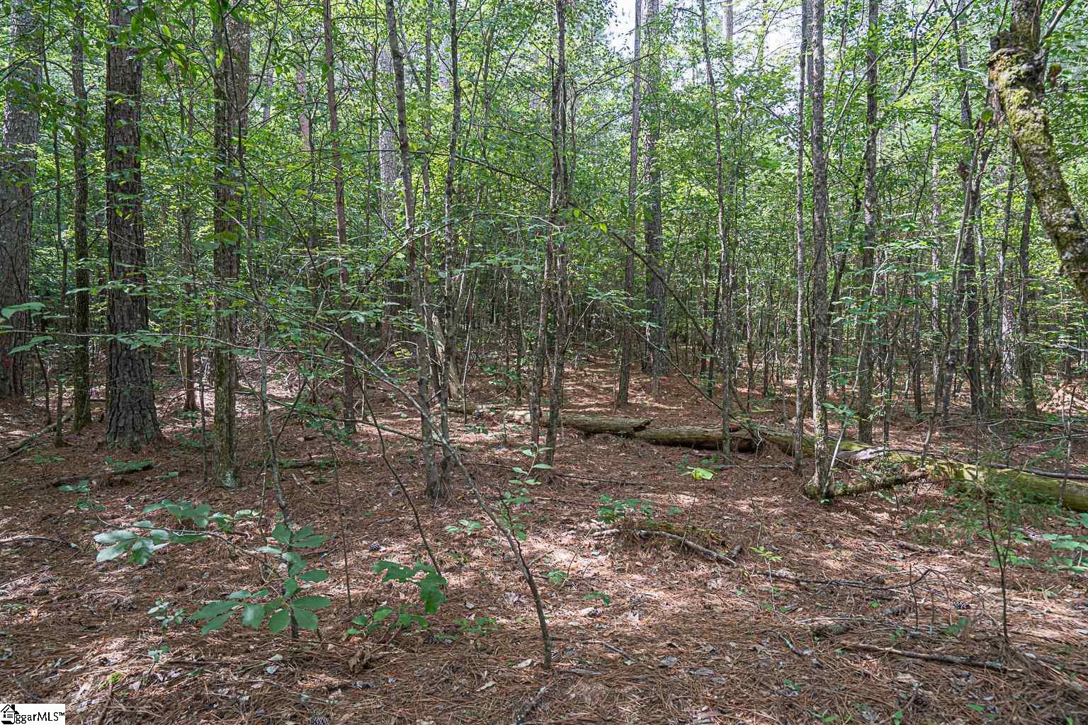 Pinedale Road Liberty, SC 29657 - Photo 12 of 15