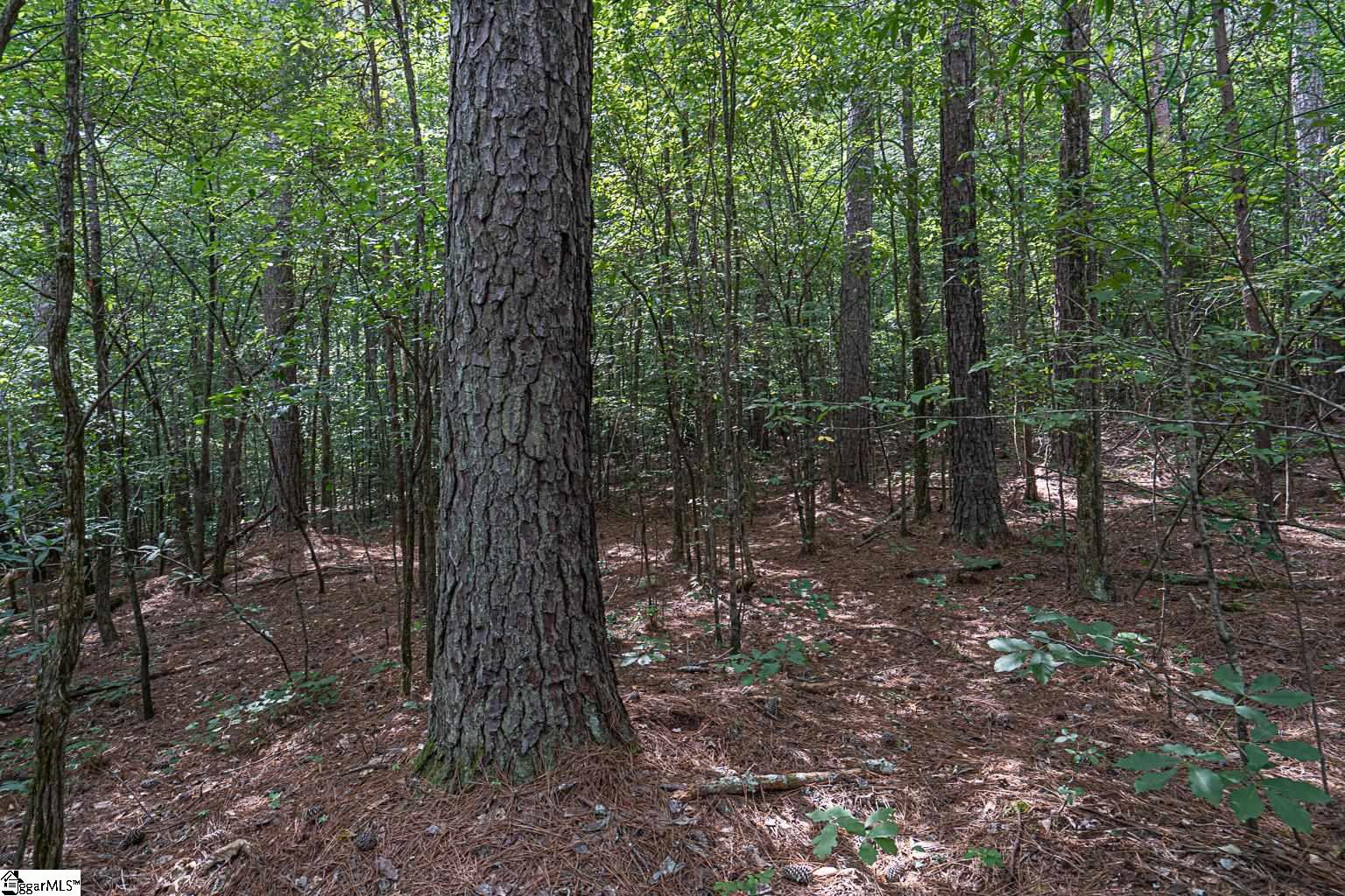 Pinedale Road Liberty, SC 29657 - Photo 13 of 15