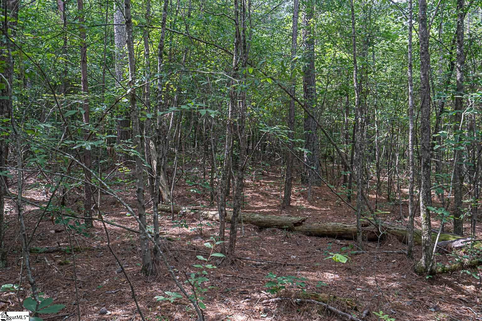 Pinedale Road Liberty, SC 29657 - Photo 14 of 15