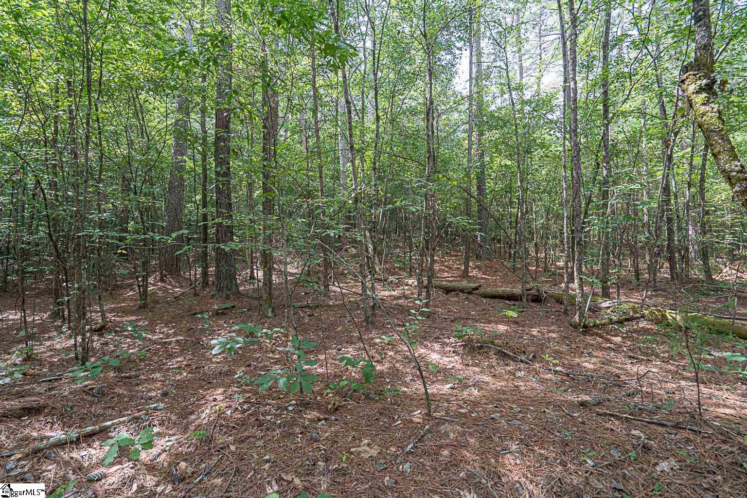 Pinedale Road Liberty, SC 29657 - Photo 15 of 15