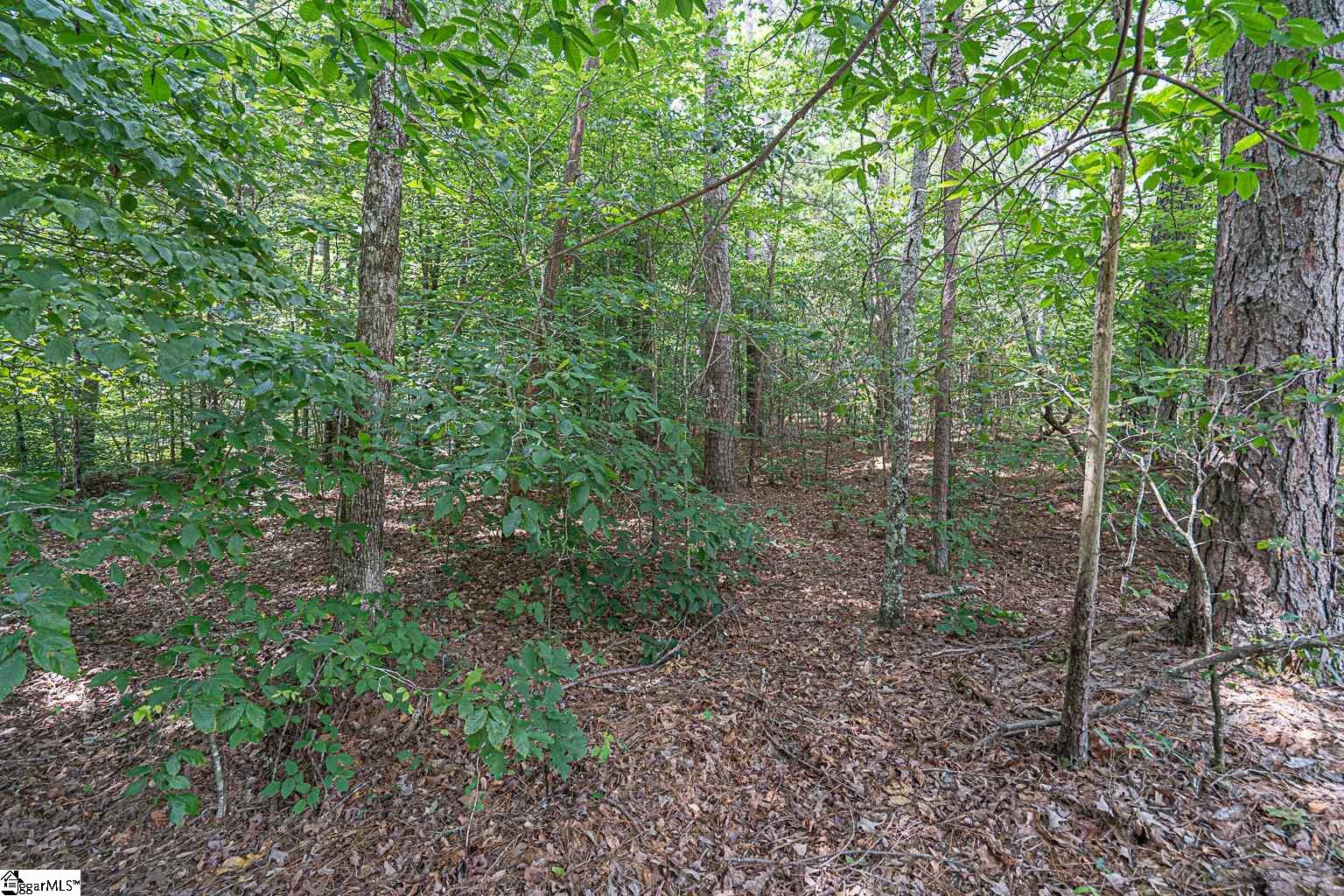 Pinedale Road Liberty, SC 29657 - Photo 3 of 15