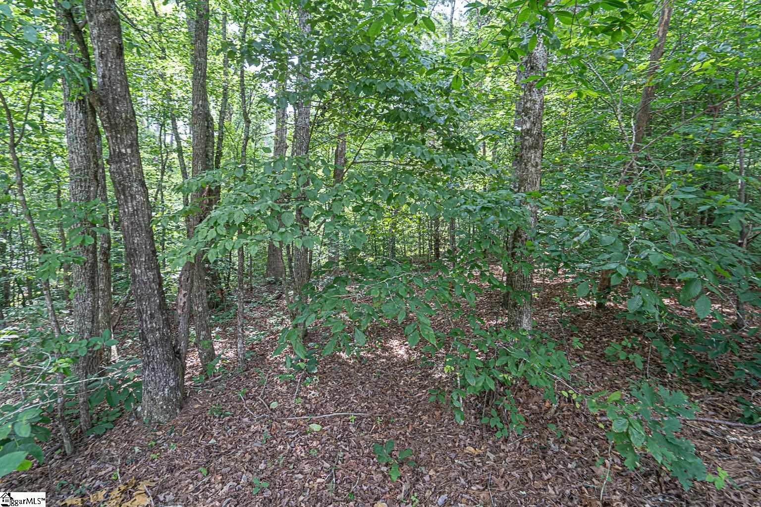 Pinedale Road Liberty, SC 29657 - Photo 4 of 15