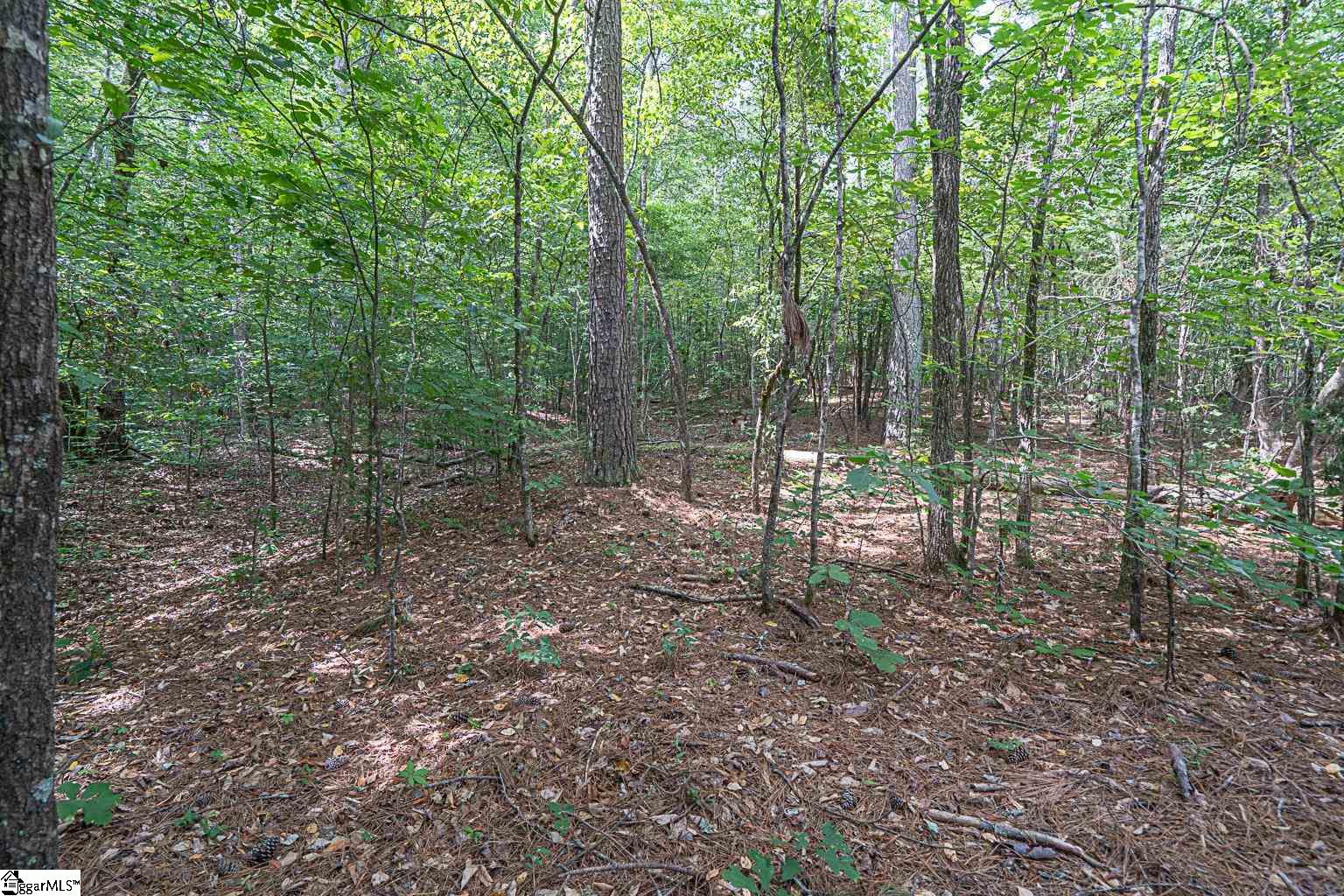 Pinedale Road Liberty, SC 29657 - Photo 5 of 15