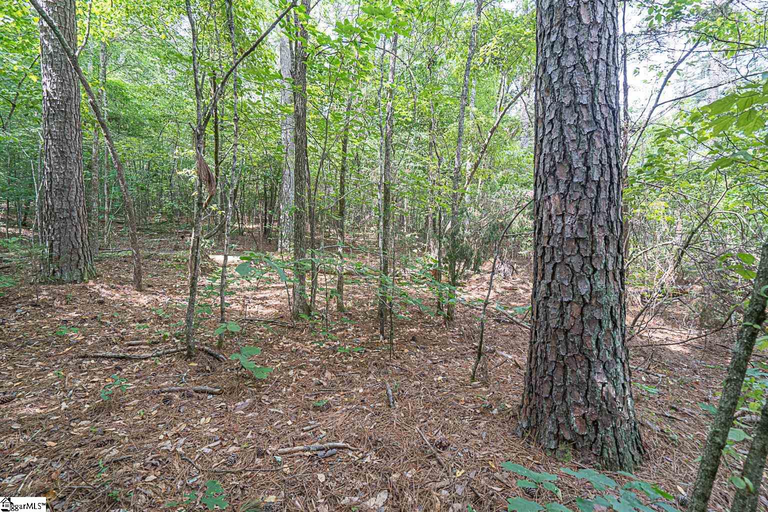 Pinedale Road Liberty, SC 29657 - Photo 6 of 15