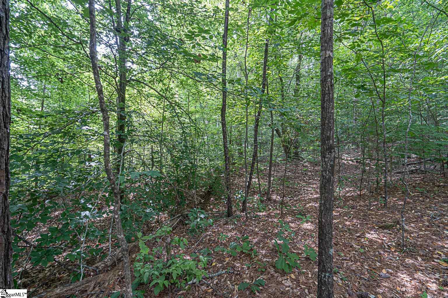 Pinedale Road Liberty, SC 29657 - Photo 7 of 15
