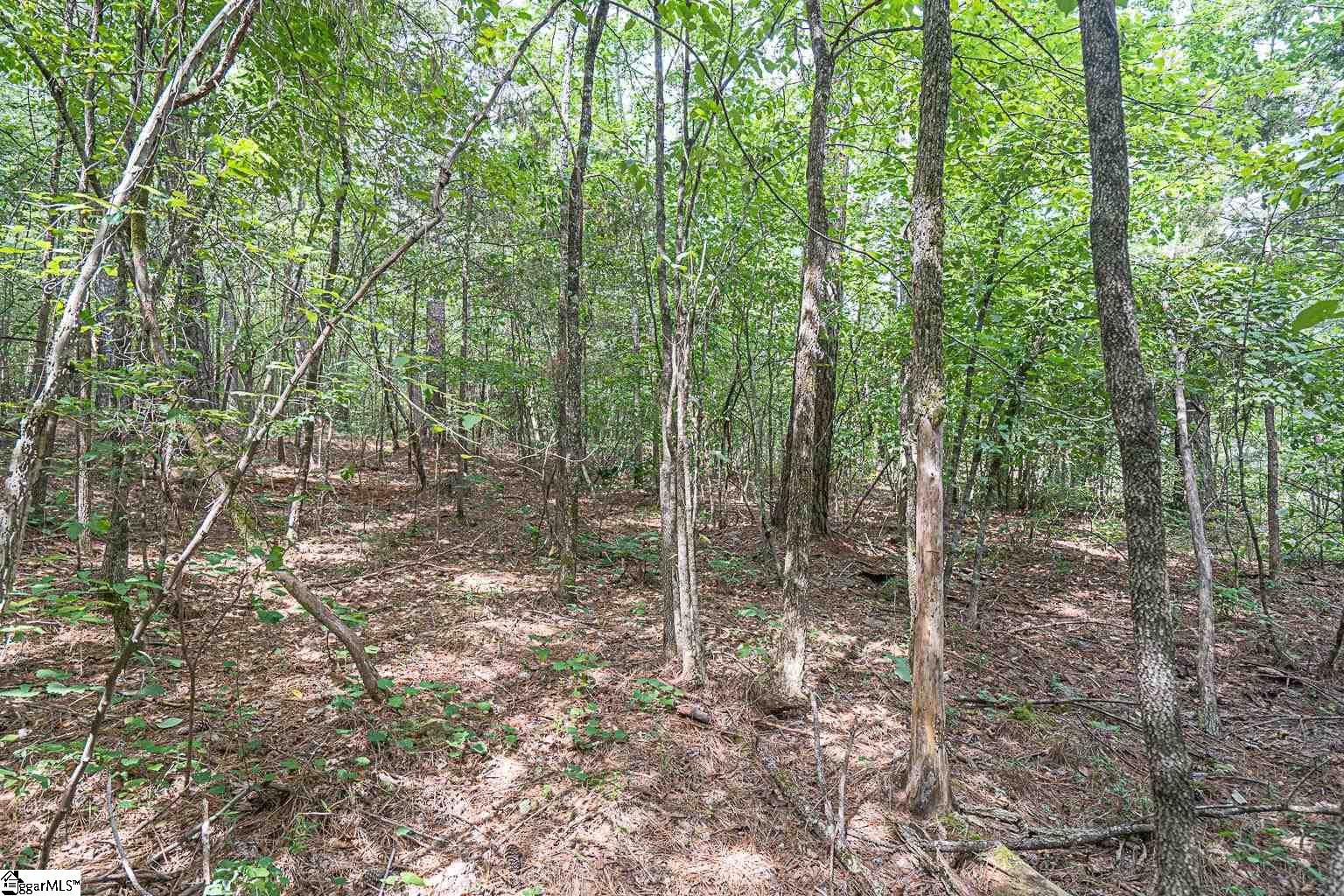 Pinedale Road Liberty, SC 29657 - Photo 8 of 15