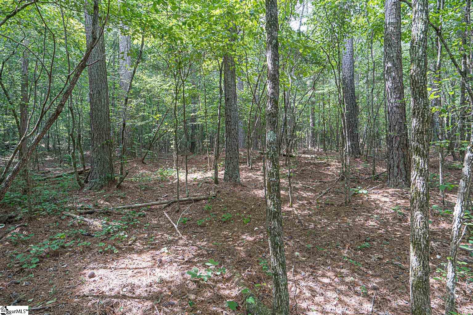 Pinedale Road Liberty, SC 29657 - Photo 9 of 15