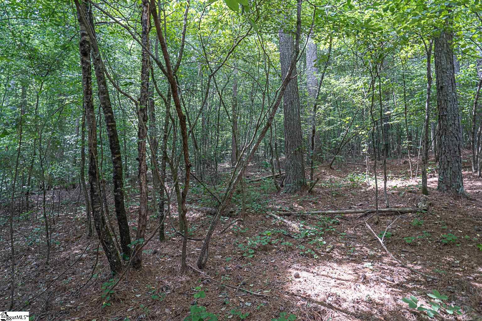 Pinedale Road Liberty, SC 29657 - Photo 10 of 15