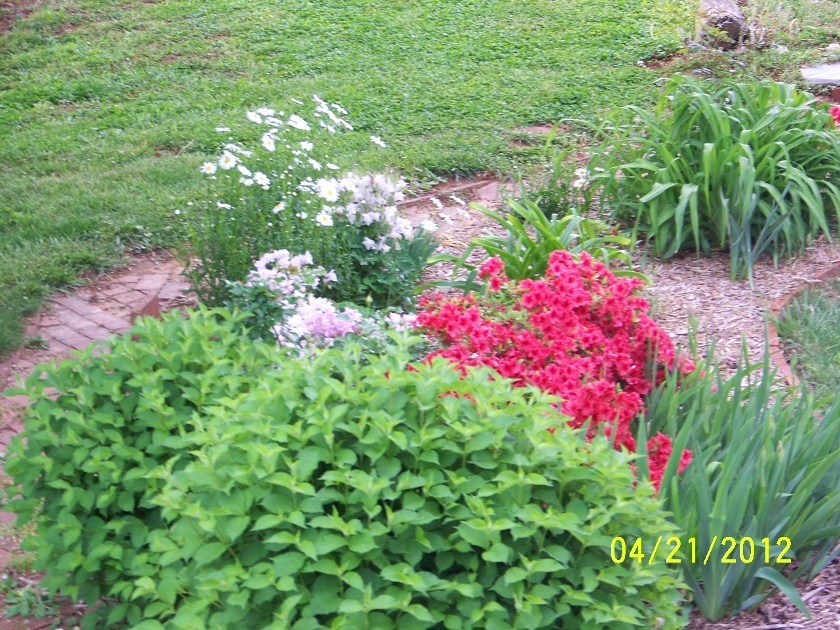 1406 Wheatland Road Buchanan, VA 24066 - Photo 14 of 25 flowers1