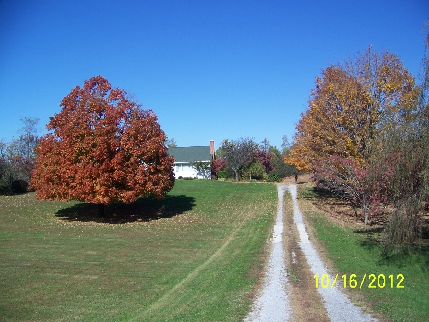 1406 Wheatland Road Buchanan, VA 24066 - Photo 18 of 25 House 3