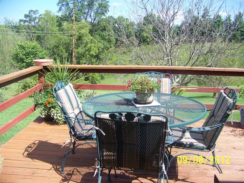 1406 Wheatland Road Buchanan, VA 24066 - Photo 19 of 25 Deck