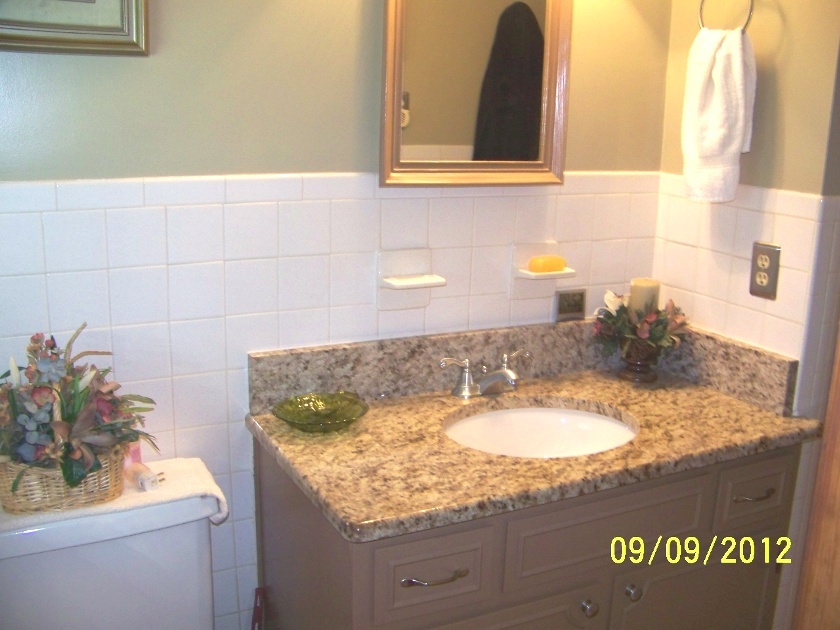 1406 Wheatland Road Buchanan, VA 24066 - Photo 9 of 25 Master Bath